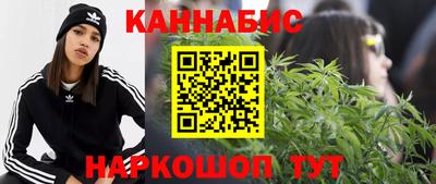 крисы Новозыбков